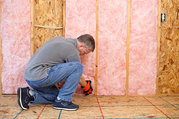 Best Insulation Removal  in Lakewood, NY