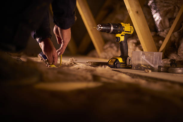 Best Insulation Removal Services  in Lakewood, NY