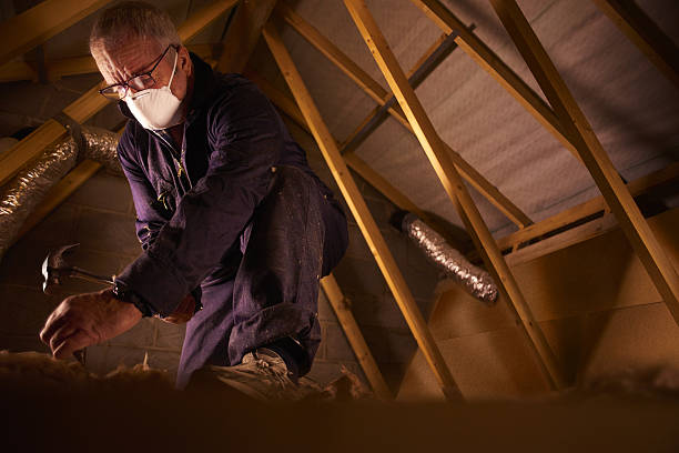 Best Commercial Insulation Contractor  in Lakewood, NY
