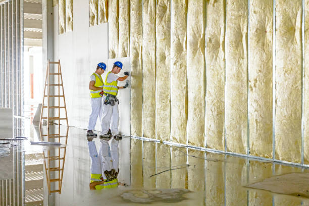 Best Attic Insulation Installation  in Lakewood, NY